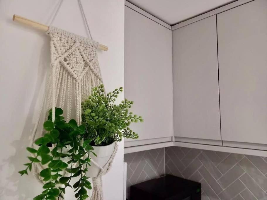 Flash Sale Kemptown 1 Bedroom Flat Bn236Stg04 Brighton Eksteriør bilde